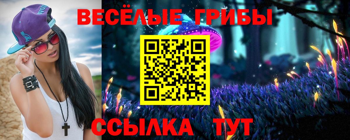 Ростов Великий  Галлюциногенные грибы ЛСД  Вход с VPN 