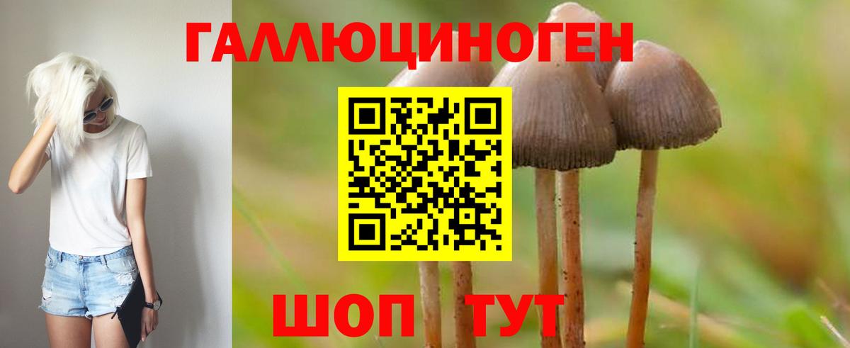 Галлюциногенные грибы прущие грибы Ростов Великий